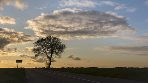 Voyage immobile * | by Titole