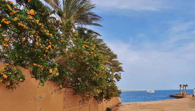 Ägypten, Hurghada, Siva Grand Beach, Ausblick , 23025