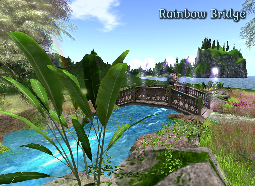 TMG – Rainbow Bridge 8_001