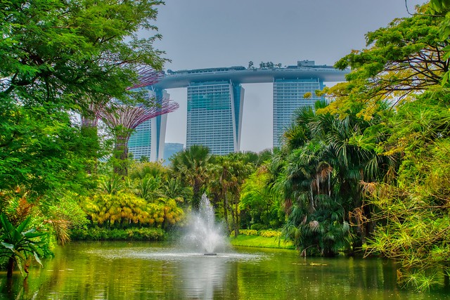 Water Lily Pond with fountain and Marina Bay Sands in the Gardens by the Bay in Singapore
