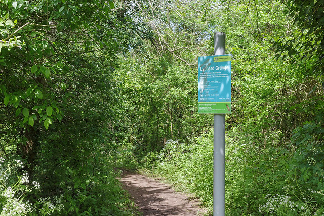 Pathway to the local nature reserve