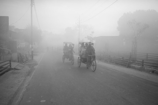 Rickshaws in the Fog