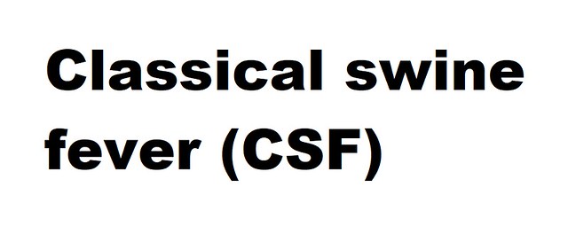 Classical swine fever (CSF) (Pestivirus Pestivirus C)