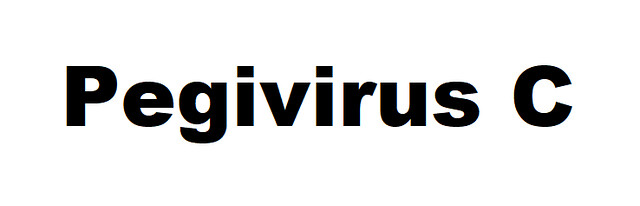 Pegivirus Pegivirus C
