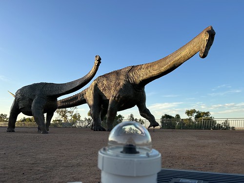 Filming Dinosaurs