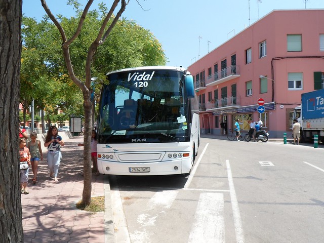 Vidal - 7534BVT - Euro-Bus20130027