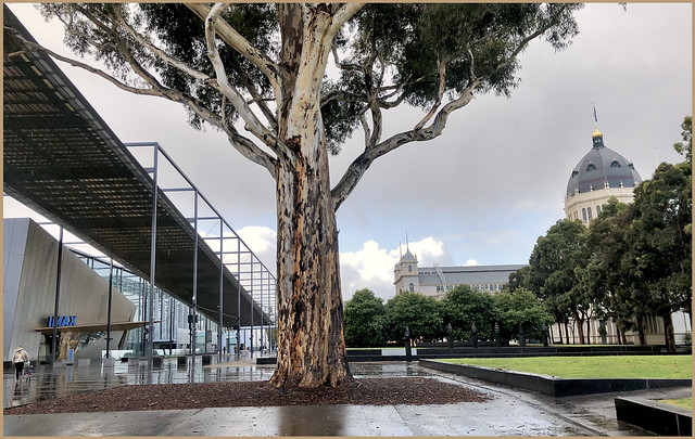 Daughter and Grandson Head to Museum on a Cold Wet Day