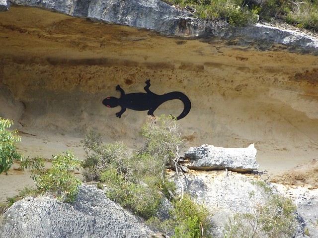Near Nelson Victoria. A painted image of a red eyed lizard on the limestone cliffs of the lower Glenelg River. Named and explored by Major Mitchell in 1836.
