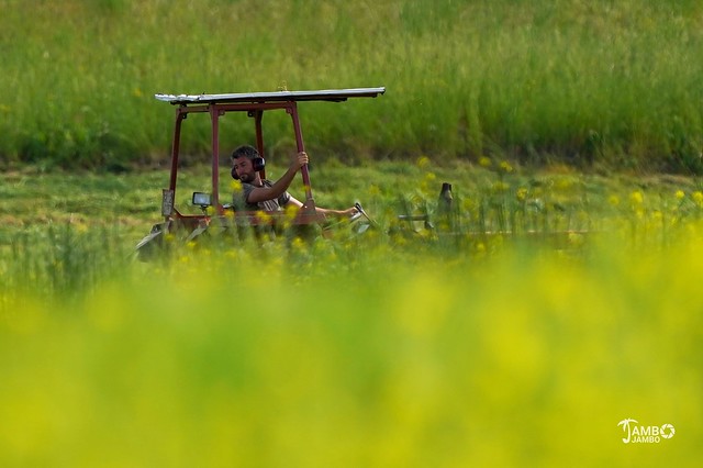 Trattori a lavoro sui campi di colza - Tractors at work on the rapeseed fields