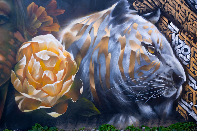 Graffiti, Lion