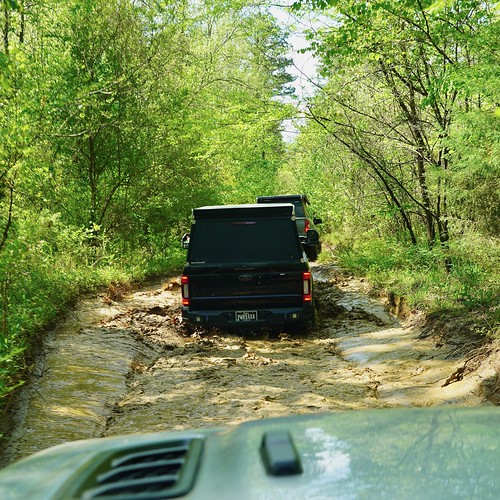 A swampy little trail | by broox