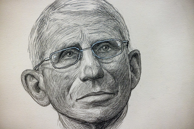 Base Drawing for a Portrait of Dr. Anthony Fauci by  Hugo Crosthwaite, National Portrait Gallery, Washington, DC (2023)
