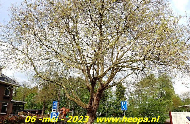 2023-05-06   Zoetermeer  Rs'80  (98)