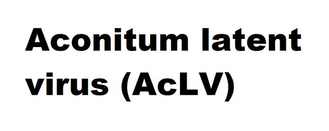Aconitum latent virus (AcLV) (Carlavirus Aconitum latent virus)