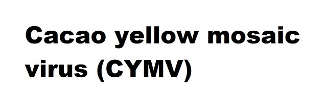 Cacao yellow mosaic virus (CYMV) (Tymovirus Cacao yellow mosaic virus)