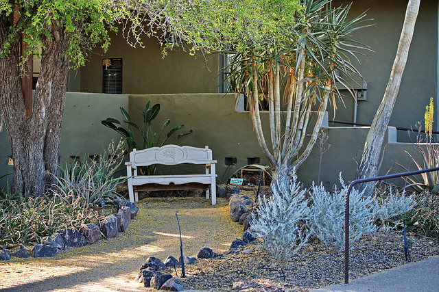 Bench  - Desert Botanical Garden