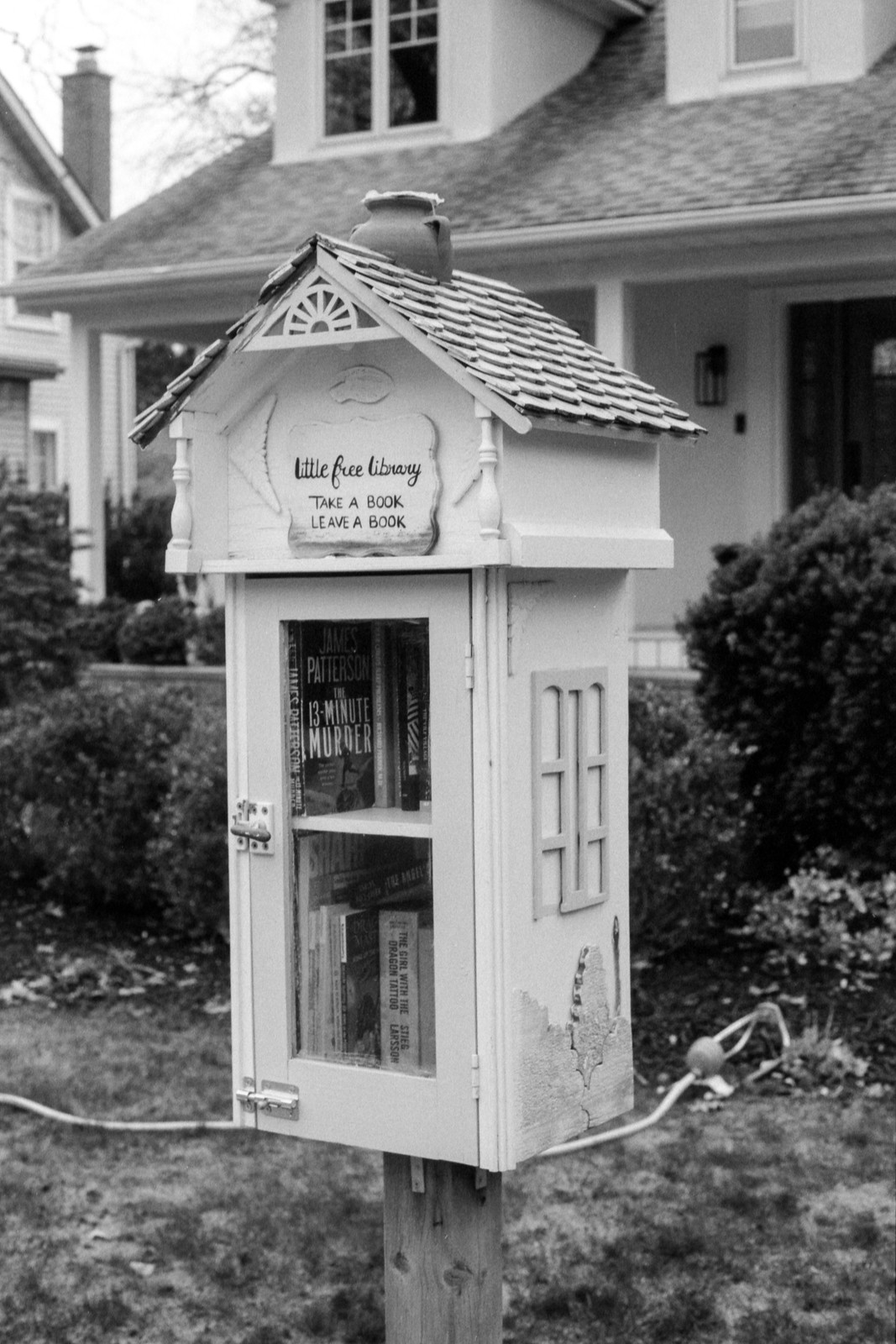 Maple tiny Library Outpost_
