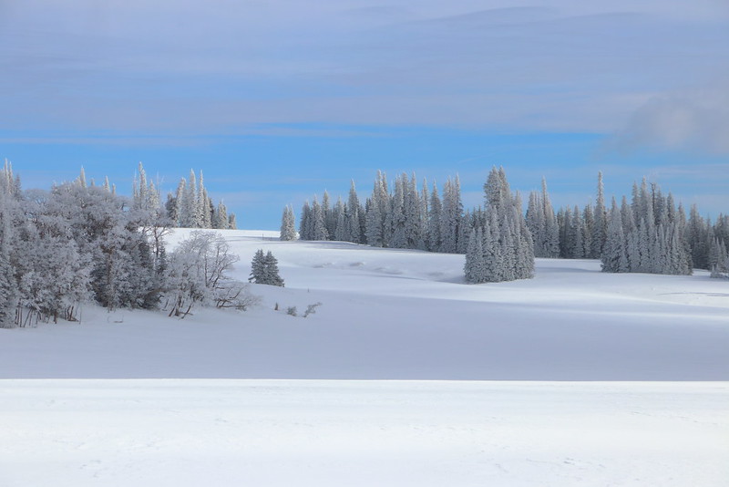 IMG_5781 Subalpine Meadow in Winter, Cedar Breaks National Monument