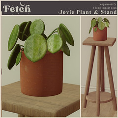 [Fetch] Jovie Plant & Stand @ Anthem!