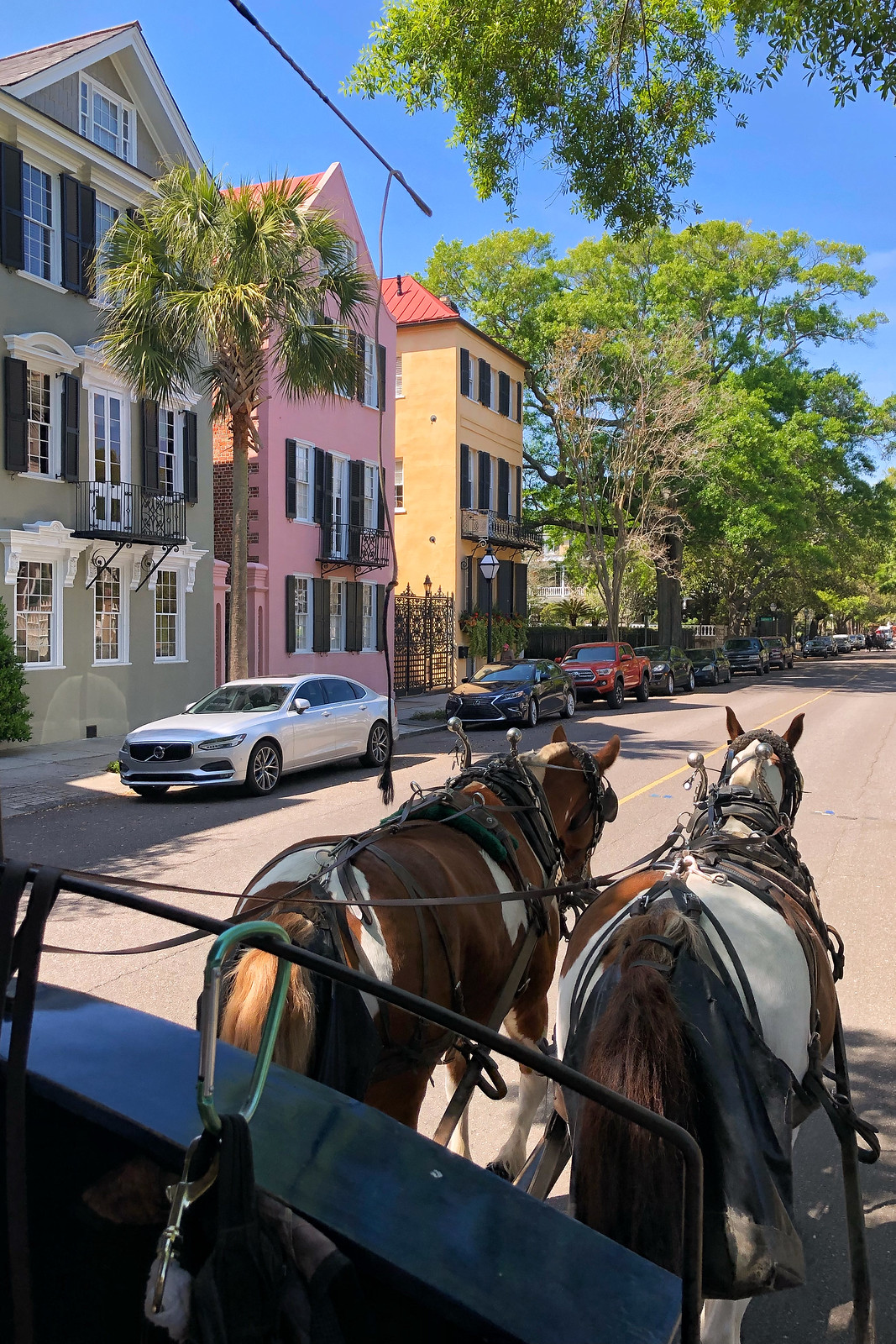 try the Palmetto Carriage Works Horse Tour when staying for 3 Days in Charleston 