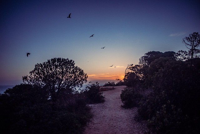 Sonnenuntergang an der Algarve, 2019