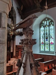 dove on the font cover