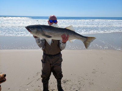Photo of man holding a huge fish on a beach