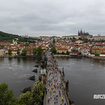 Prague International Marathon (14)