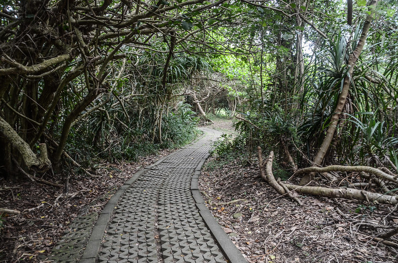 鵝鑾鼻公園觀景平台步道 (3)
