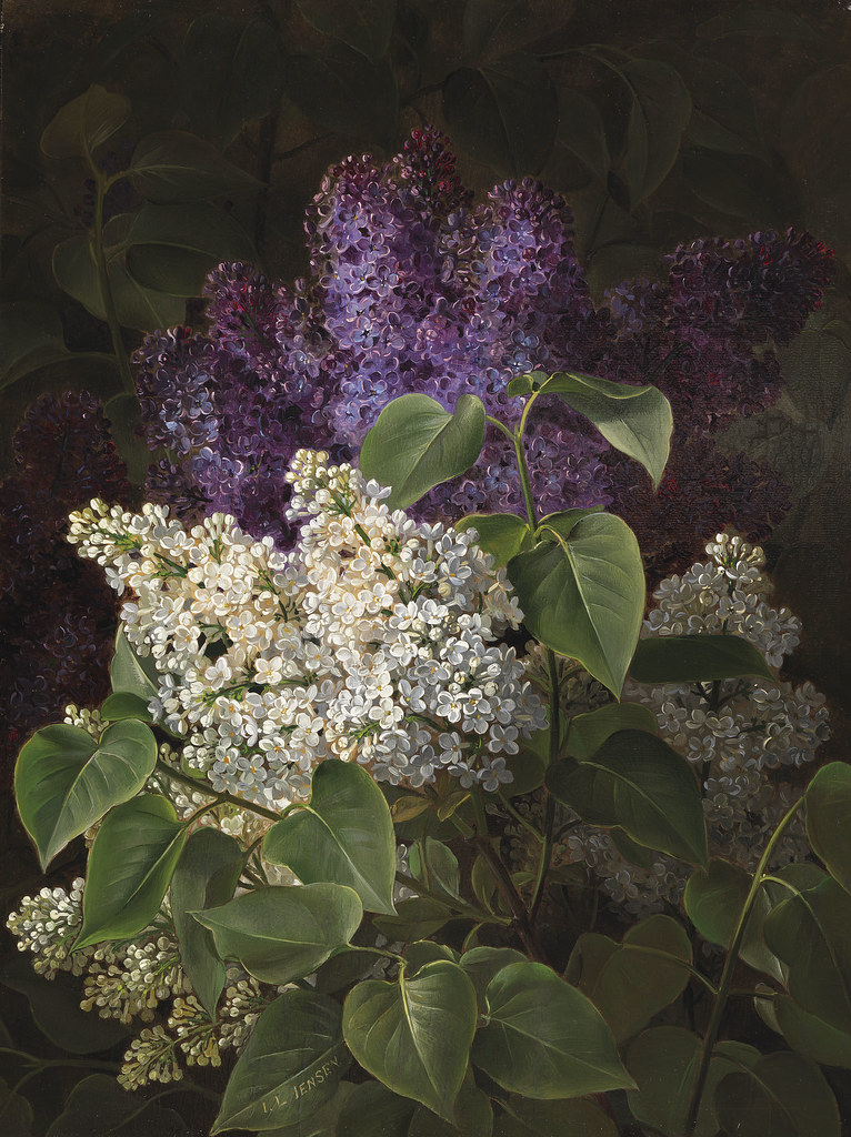 Johan Laurentz Jensen «White and Violet Lilac», 1845