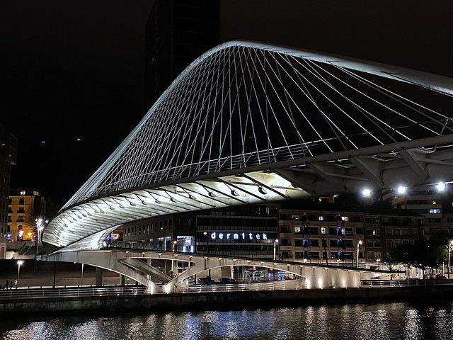 Zubizuri / Calatrava Bridge, Bilbao