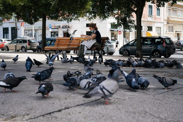 The pigeon woman, Lisbon (Portugal)