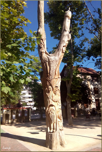 🇪🇸 🇪🇺 Árbol esculpido (Logroño, La Rioja, España, 27-5-2015) ⭐