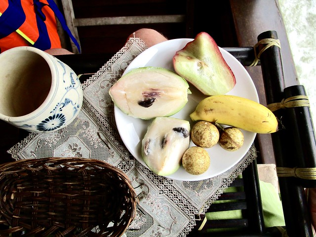 Back on the sampan, we were served fruit: milk fruit (vú sữa), rose apple, banana, and longan