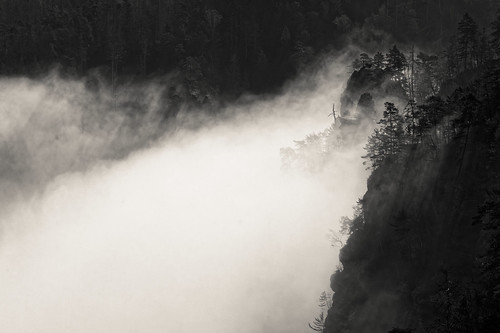 foggy morning II | by alexander-becker