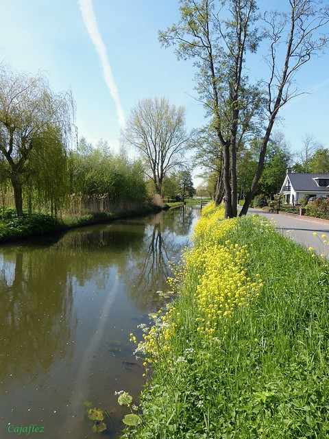 Lente langs de Grift in Veenendaal.