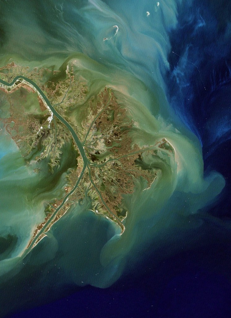 一張衛星圖片顯示了由密西西比河向墨西哥灣排放氮肥的地方出現的藻華。 圖片來源：Phil Degginger / Alamy