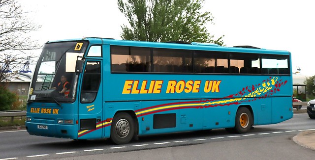 Ellie Rose Travel, Salt End, Hull ICZ 3519 in Marfleet working school services.
