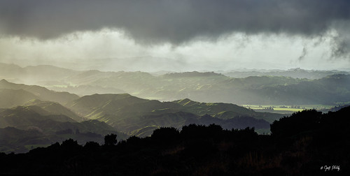 sel24105g rangiwahiahut sunrays landscape moody ruahineforestpark newzealand manawatu sony ilce7rm4 manawatuwanganui ruahineranges ruahines