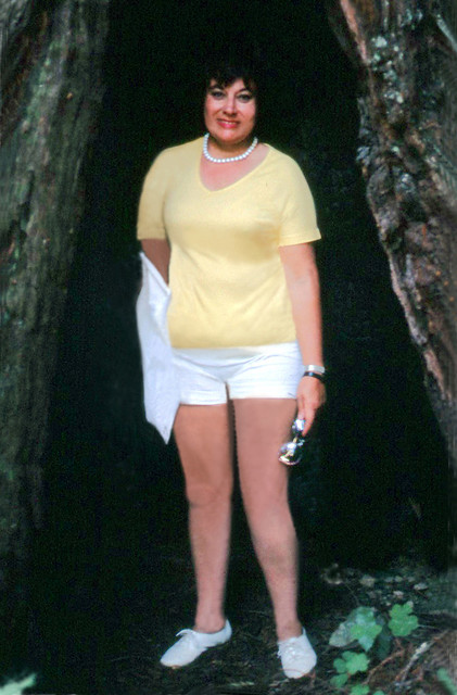 Hollow tree pose, 1988