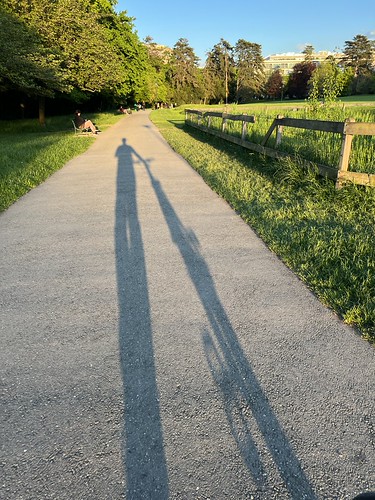 Shadows of May