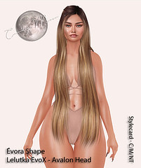 Candy Moon - Evora Shape