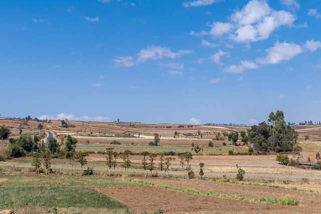 Typical scenery in rural Kenya Africa, with farmland