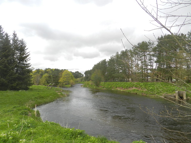 River Don, Port Elphinstone, Inverurie, May 2023