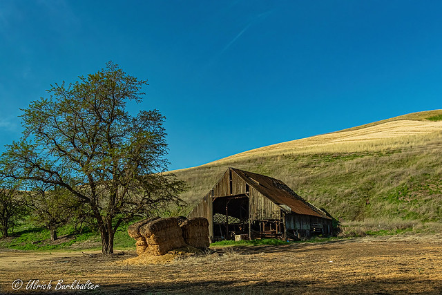 A barn in the Palouse.