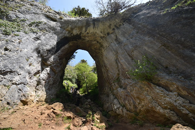 Reynard's Cave