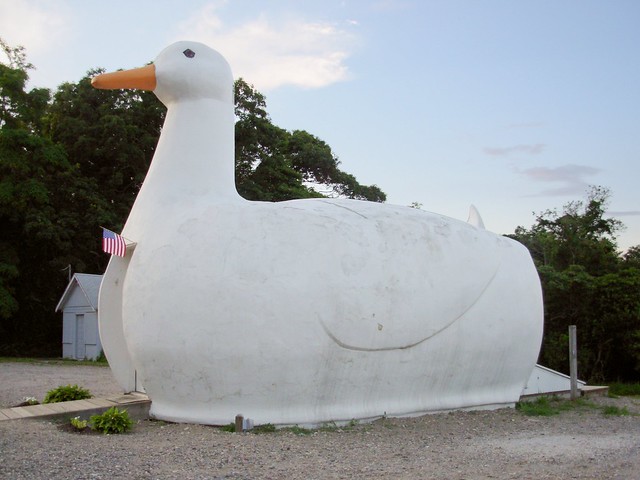 Jemattox, Big Duck (CC-BY-SA-3.0), Flanders, New York