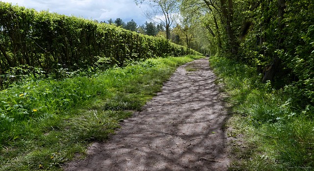 Path to Oldmoor Wood