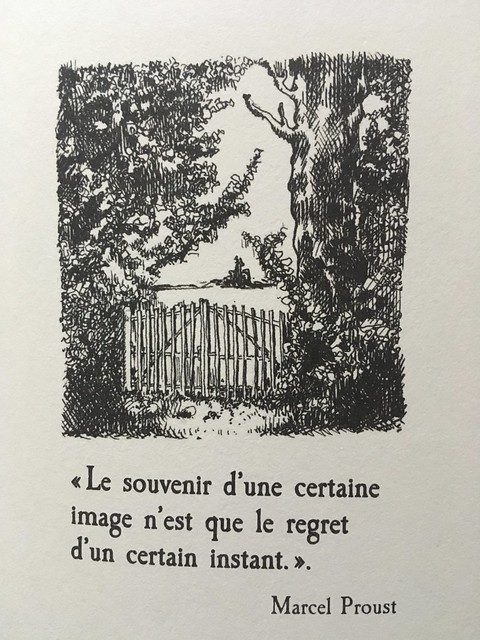 Dessin de Stéphane Manel extrait du livre Monsieur Proust de Céleste Albaret