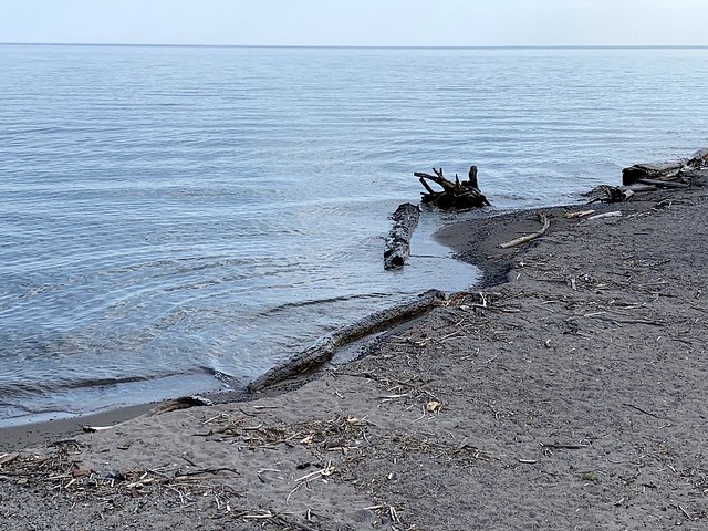 Driftwood at and on the sandy beach at the shore of Lake Ontario located beside the bridge across Duffins creek marsh in Squires beach , Martin’s photographs , Ajax , Ontario , Canada , May 11. 2023